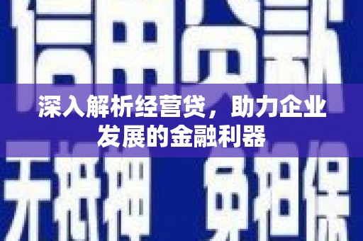 伽师深入解析经营贷，助力企业发展的金融利器