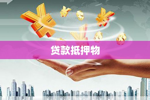 伽师贷款抵押物