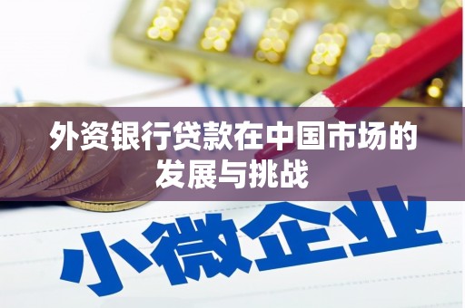伽师外资银行贷款在中国市场的发展与挑战