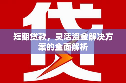 伽师短期贷款，灵活资金解决方案的全面解析