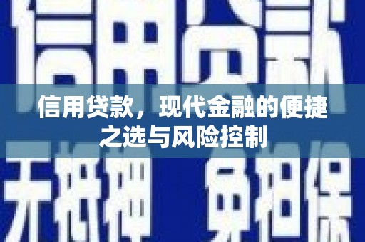 伽师信用贷款，现代金融的便捷之选与风险控制