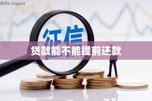 伽师贷款能不能提前还款