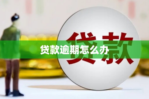 伽师贷款逾期怎么办