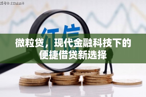 伽师微粒贷，现代金融科技下的便捷借贷新选择