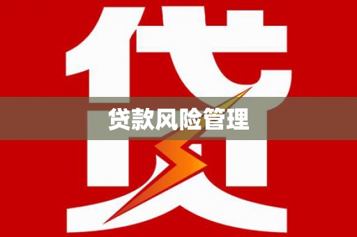伽师贷款风险管理