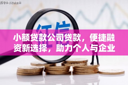 伽师小额贷款公司贷款，便捷融资新选择，助力个人与企业成长