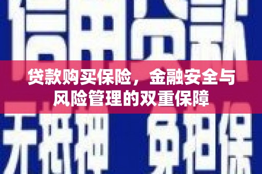 伽师贷款购买保险，金融安全与风险管理的双重保障
