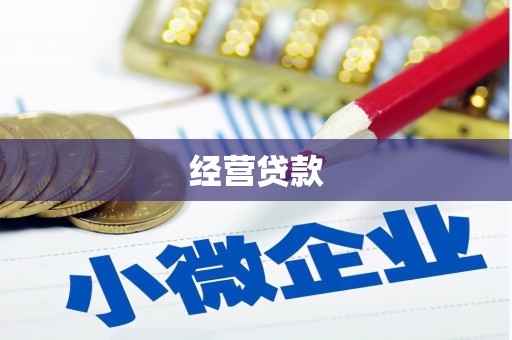 伽师经营贷款
