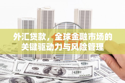 伽师外汇贷款，全球金融市场的关键驱动力与风险管理