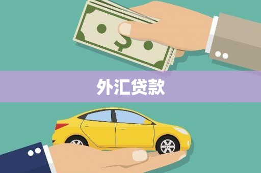 伽师外汇贷款