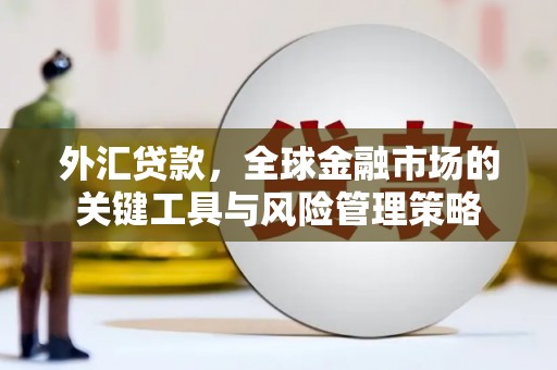 伽师外汇贷款，全球金融市场的关键工具与风险管理策略