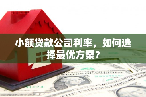 伽师小额贷款公司利率，如何选择最优方案？