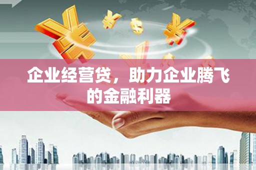 伽师企业经营贷，助力企业腾飞的金融利器