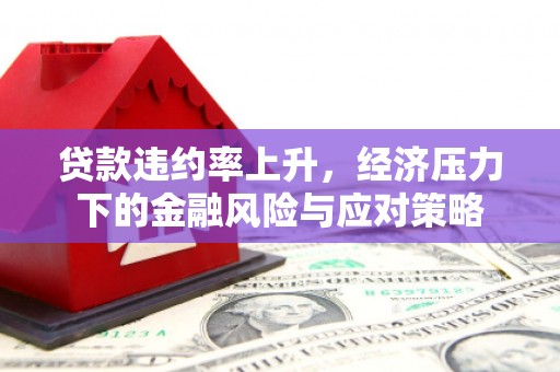 伽师贷款违约率上升，经济压力下的金融风险与应对策略