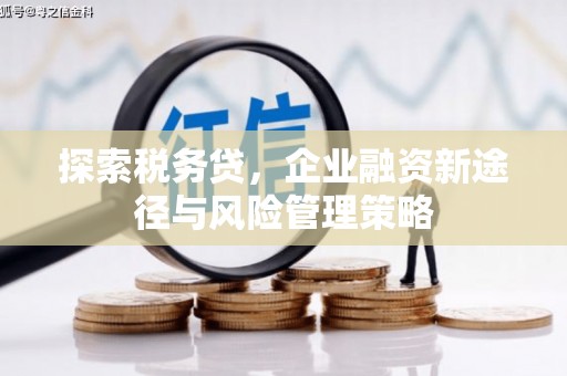 伽师探索税务贷，企业融资新途径与风险管理策略