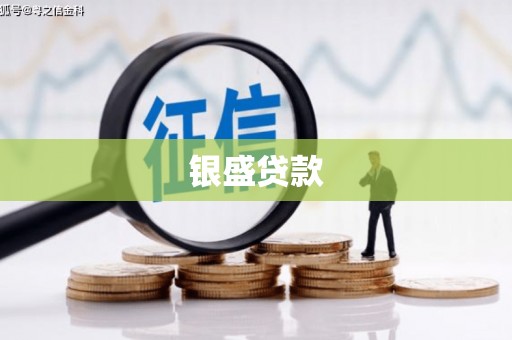 伽师银盛贷款
