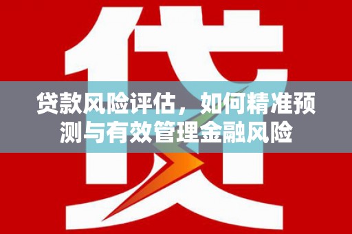 伽师贷款风险评估，如何精准预测与有效管理金融风险