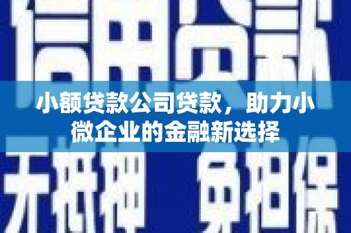 伽师小额贷款公司贷款，助力小微企业的金融新选择