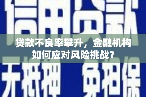 伽师贷款不良率攀升，金融机构如何应对风险挑战？