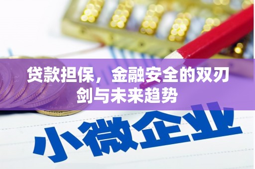 伽师贷款担保，金融安全的双刃剑与未来趋势