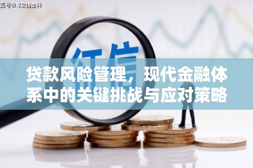 伽师贷款风险管理，现代金融体系中的关键挑战与应对策略