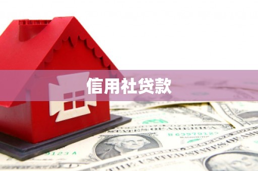 伽师信用社贷款