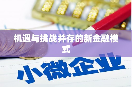 伽师机遇与挑战并存的新金融模式