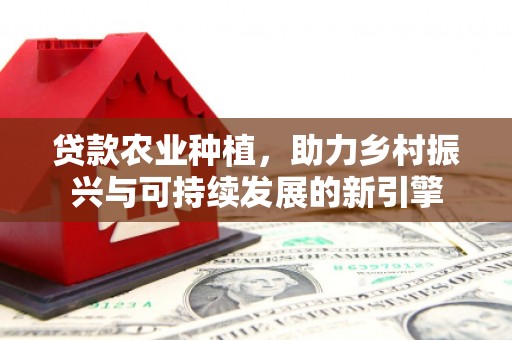 伽师贷款农业种植，助力乡村振兴与可持续发展的新引擎