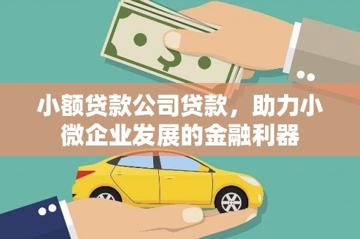 伽师小额贷款公司贷款，助力小微企业发展的金融利器