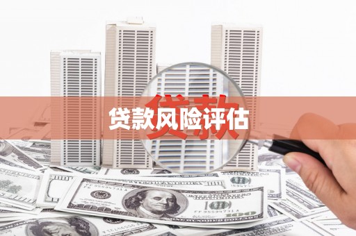 伽师贷款风险评估