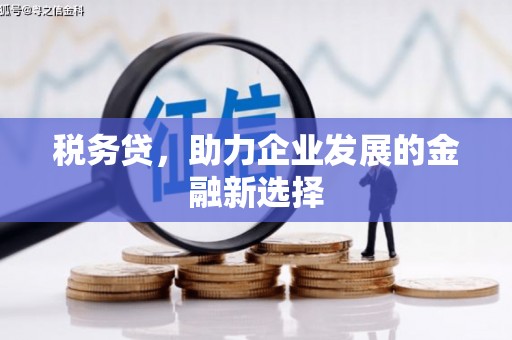 伽师税务贷，助力企业发展的金融新选择