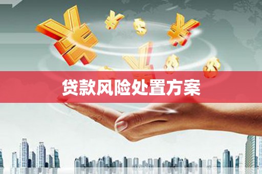 伽师贷款风险处置方案