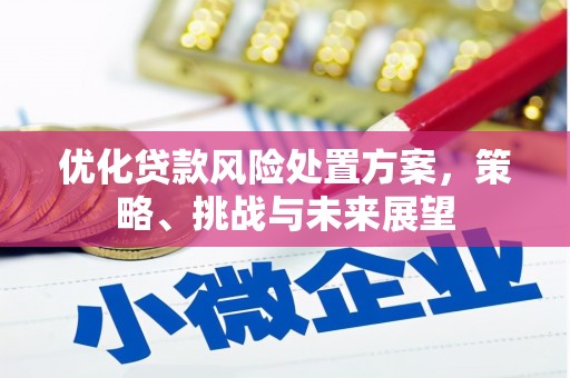 伽师优化贷款风险处置方案，策略、挑战与未来展望