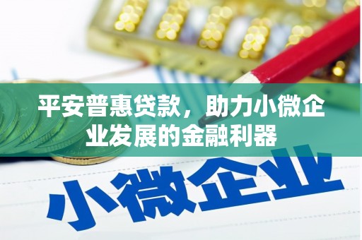 伽师平安普惠贷款，助力小微企业发展的金融利器