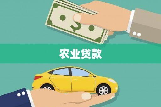 伽师农业贷款