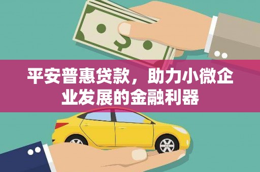 伽师平安普惠贷款，助力小微企业发展的金融利器