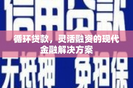 伽师循环贷款，灵活融资的现代金融解决方案
