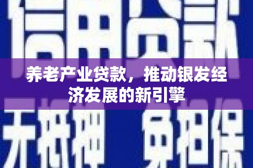 伽师养老产业贷款，推动银发经济发展的新引擎