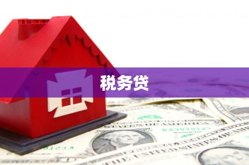 伽师税务贷