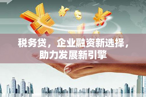 伽师税务贷，企业融资新选择，助力发展新引擎