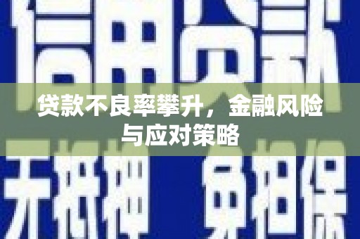 伽师贷款不良率攀升，金融风险与应对策略