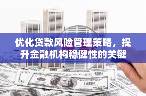 伽师优化贷款风险管理策略，提升金融机构稳健性的关键
