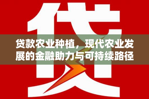 伽师贷款农业种植，现代农业发展的金融助力与可持续路径