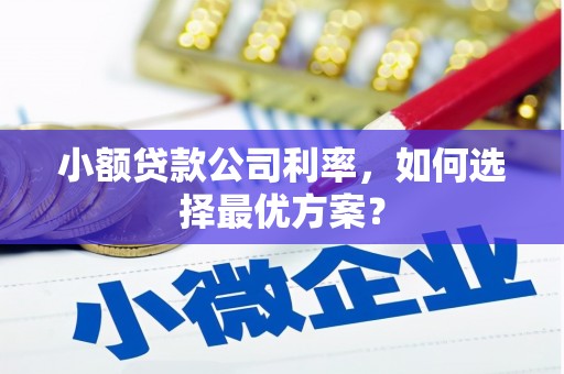 伽师小额贷款公司利率，如何选择最优方案？