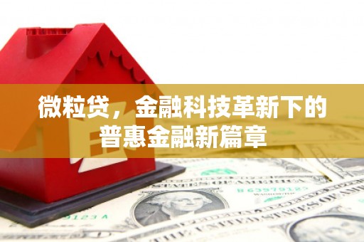 伽师微粒贷，金融科技革新下的普惠金融新篇章
