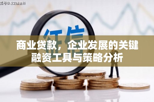 伽师商业贷款，企业发展的关键融资工具与策略分析