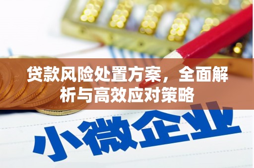 伽师贷款风险处置方案，全面解析与高效应对策略