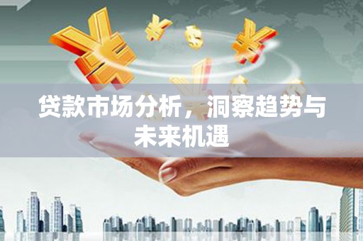 伽师贷款市场分析，洞察趋势与未来机遇