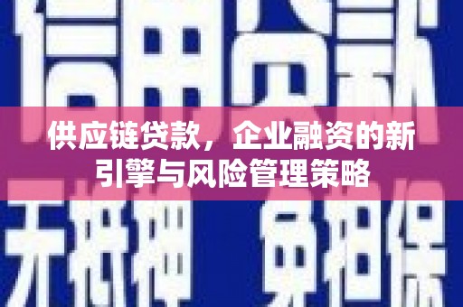 伽师供应链贷款，企业融资的新引擎与风险管理策略