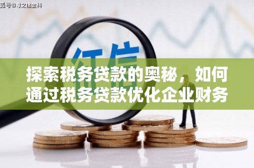 伽师探索税务贷款的奥秘，如何通过税务贷款优化企业财务